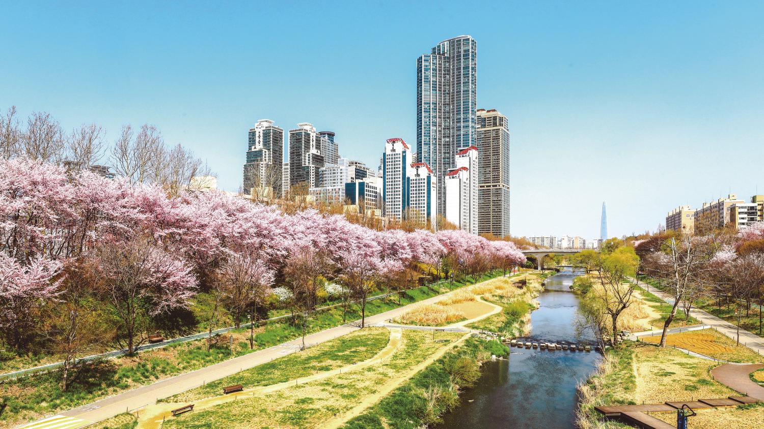 Escape to an idyllic natural wonderland in Gangnam Escape to an idyllic natural wonderland in Gangnam
