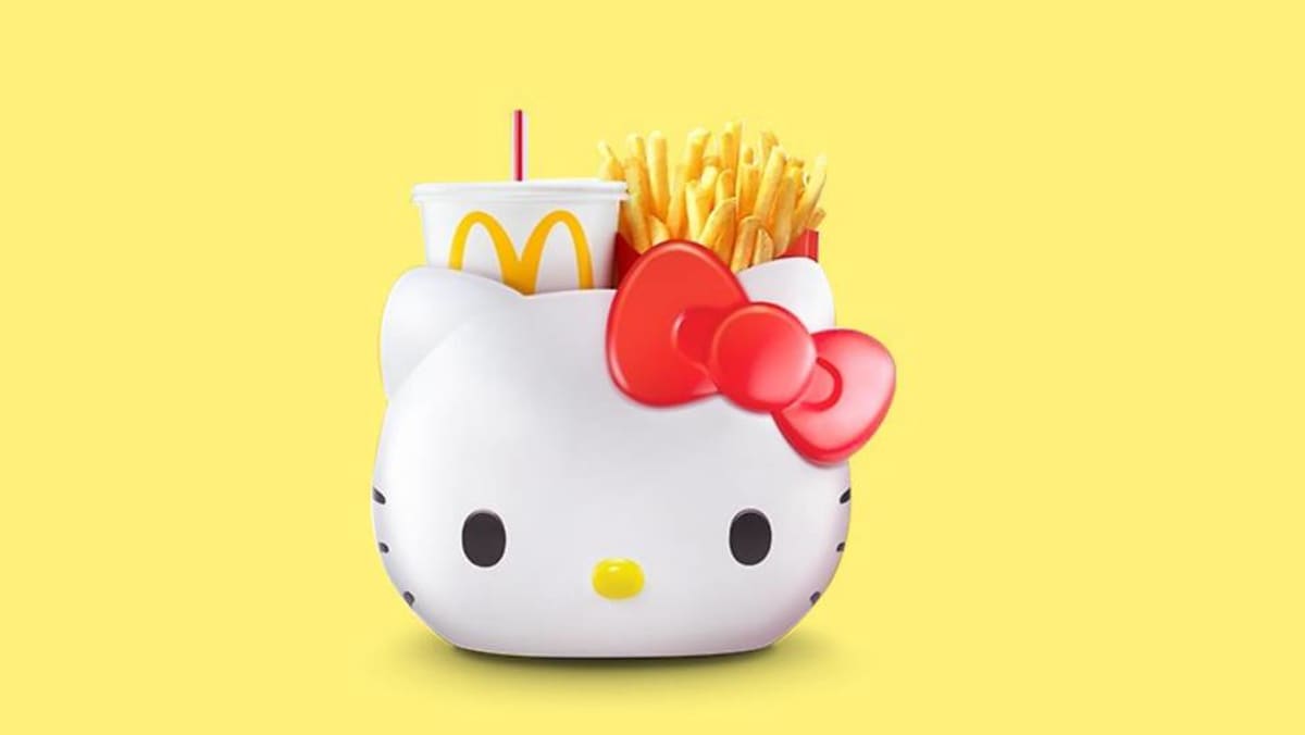 Hello kitty carrier clearance