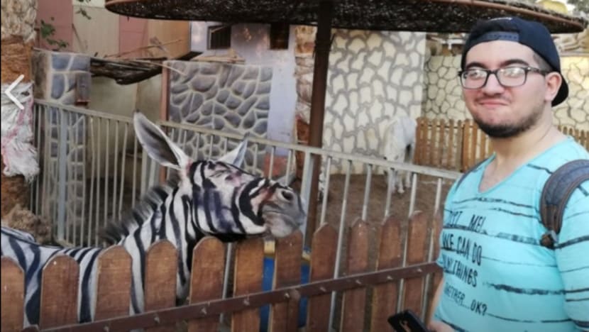 Taman haiwan Mesir dituduh cat keldai untuk kelihatan seperti kuda belang