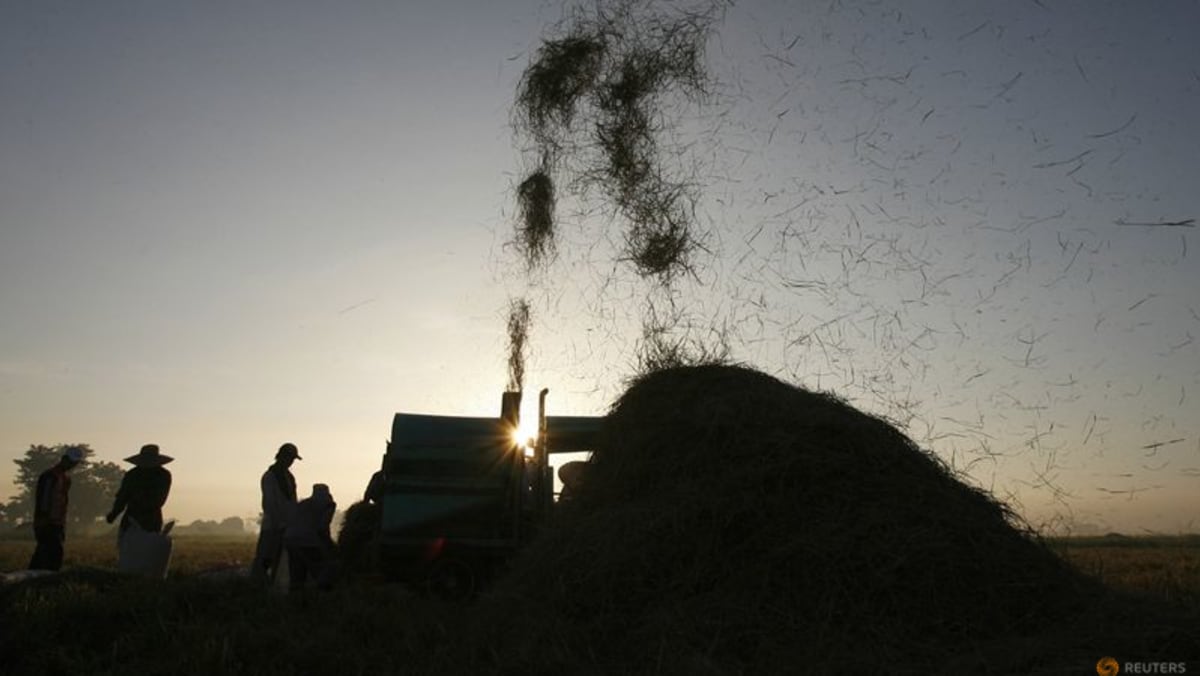 Malaysia announces subsidy for imported rice in 2 states