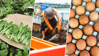 24 Singaporean Fresh Food Producers To Get Veggies, Eggs, Fish & Chicken From