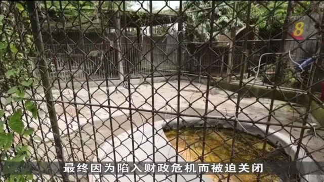 泰国普吉岛关闭动物园 园内最后一批动物终获安置
