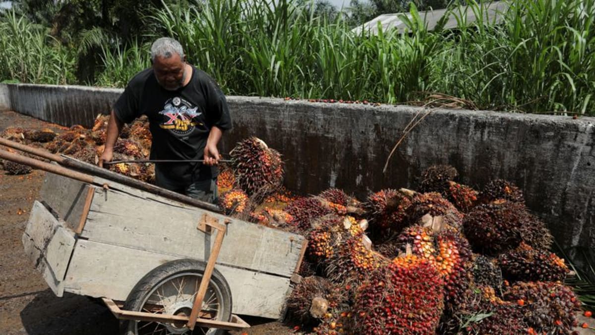 路透调查显示马来西亚棕榈油库存跌至一年来最低水平 – CNA