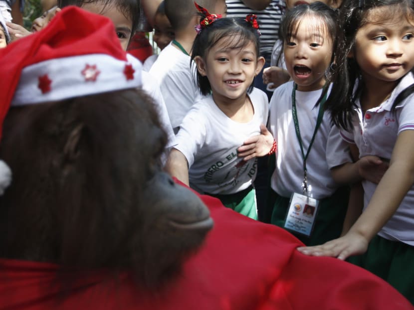 Manila zoo gets in Christmas mood