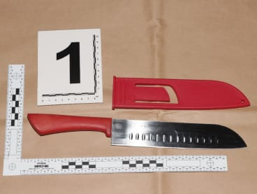 Chew Wee Tiong, 49, claimed that he had a “spiritual connection” with a knife (pictured) that he found in a bicycle bay, and believing it gave him “spiritual blessings”, a man began carrying it around in public.