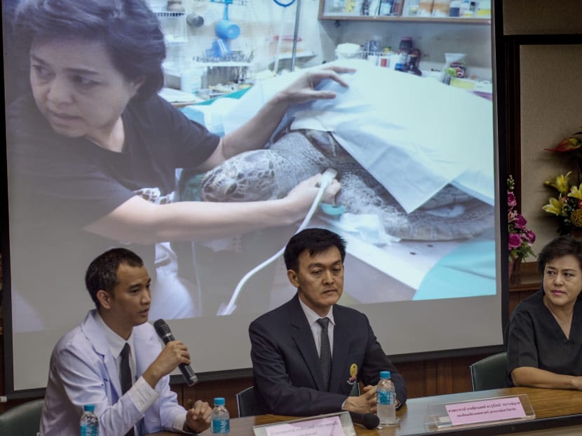 Ms Nantrika Chansue, the veterinarian in charge of Chulalongkorn hospital's aquatic research centre (right), listening to other veterinarians speaking about the causes of death of the turtle nicknamed "Piggy Bank" in Bangkok on March 21, 2017. Photo: AFP