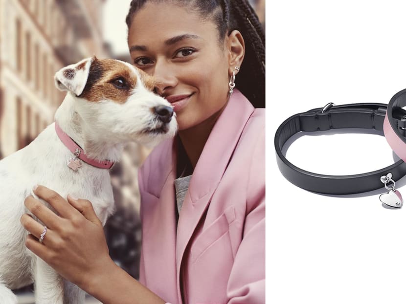 Pandora dog tags online