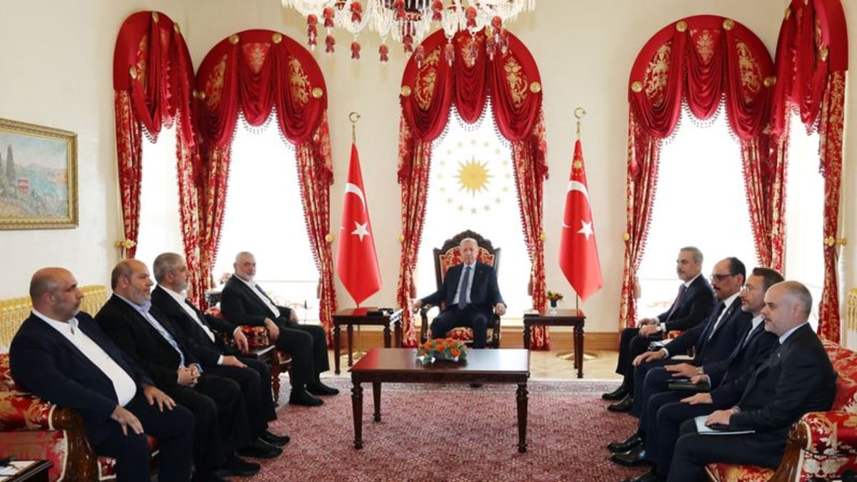 Erdogan meets Hamas leader in Türkiye, discusses efforts for regional peace