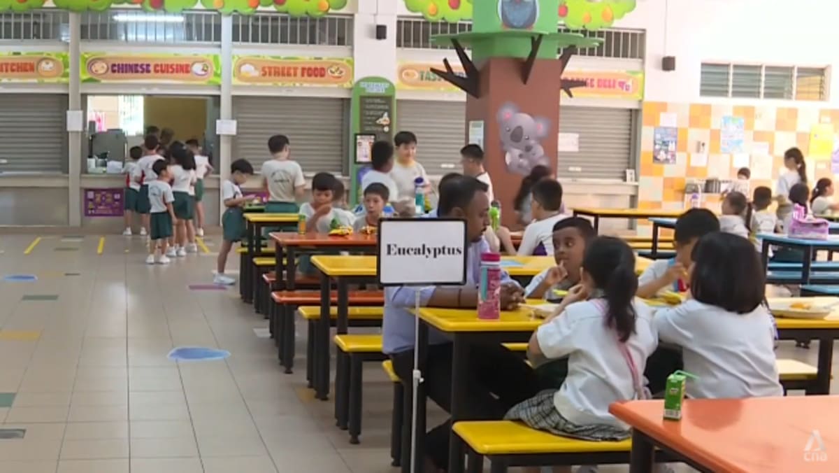 New nutrition guidelines for children aim to help schools prepare healthy  meals in appropriate portions - CNA