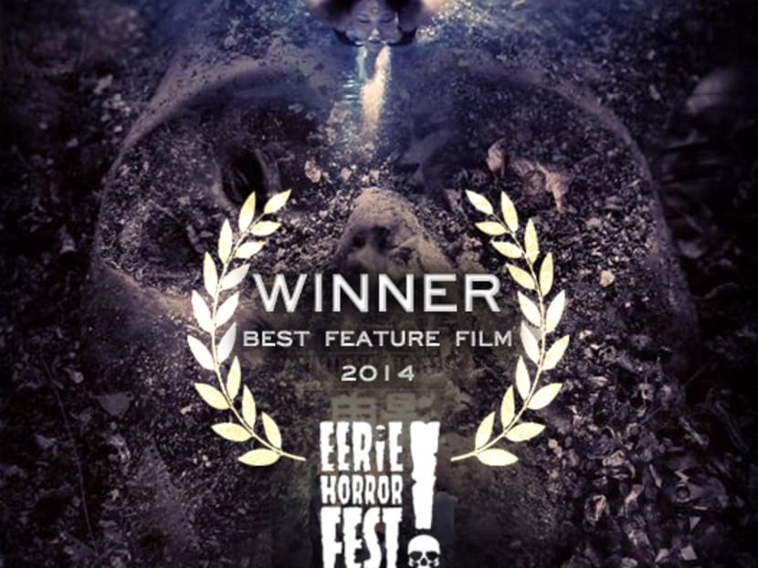 Local film AFTERIMAGES won the Best Feature Film award at the 2014 Eerie Horror Film Festival. Photo: Mythopolis Pictures