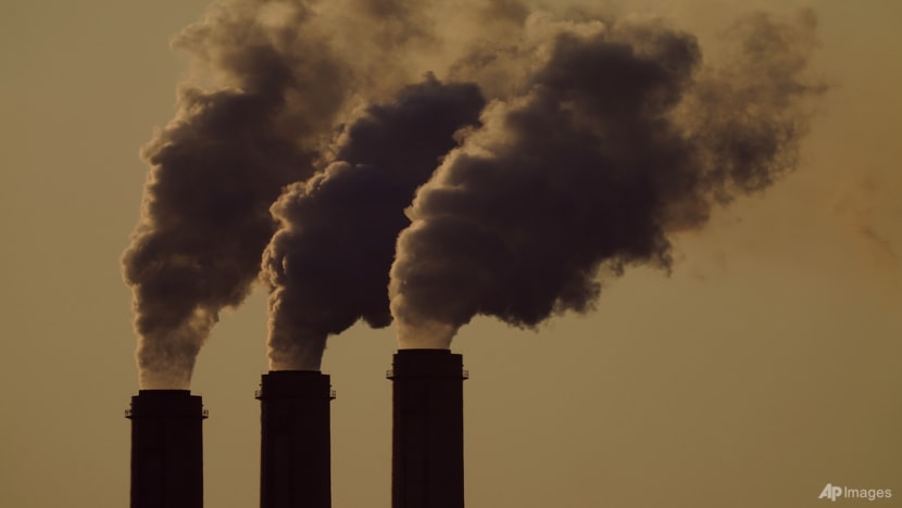 Commentary: Every action counts when it comes to net zero - here are the most effective Commentary: Every action counts when it comes to net zero - here are the most effective