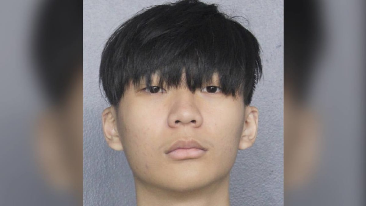 Singaporean Malone Lam requests 'speedy trial' in US for alleged US230