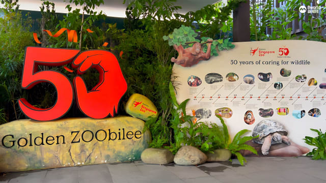 【步步追踪】新加坡动物园欢庆50岁生日