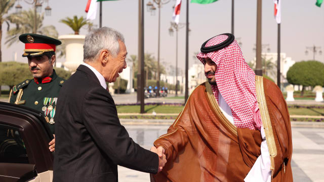 我国和沙特阿拉伯同意 在贸易投资和绿色能源等领域提升双边关系