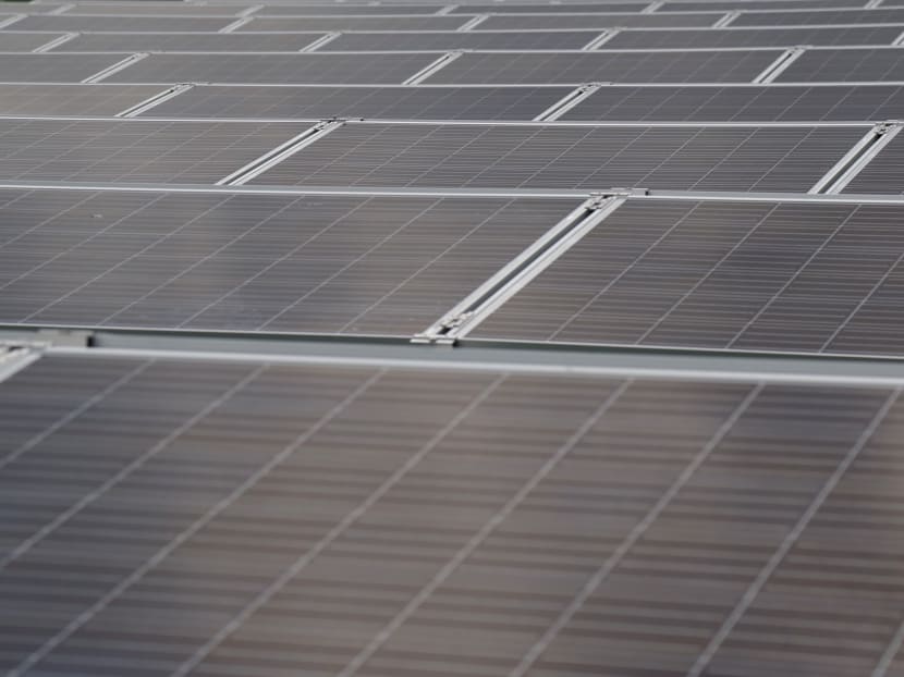 The Housing and Development Board called for a fifth solar leasing tender under a programme which encourages government agencies to use solar power.