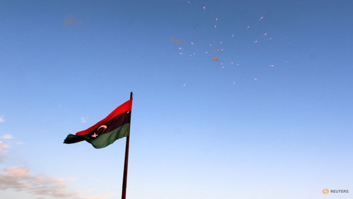 UN adviser says Libyan joint committee reached consensus on 137 articles of draft constitution