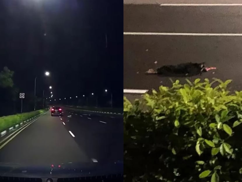 In a video that was posted on the website Singapore Uncensored, a dashcam video purportedly taken along Lorong Halus on Dec 15 shows an object being thrown out of a car.