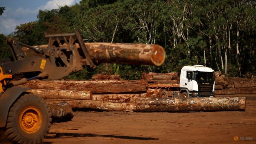 Brazil's top court set to rule in favor of Amazon Fund revival Brazil's top court set to rule in favor of Amazon Fund revival