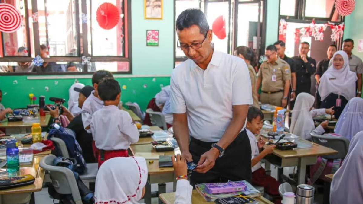Pregnant women, breastfeeding mothers among those to benefit from Indonesia’s expanded free meal initiative Pregnant women, breastfeeding mothers among those to benefit from Indonesia’s expanded free meal initiative