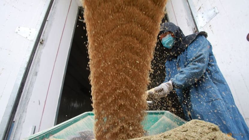 China ag minister says winter wheat condition could be worst in history 