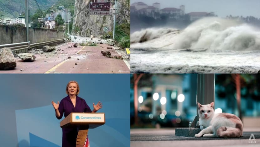 Daily round-up, Sep 5: Deadly quake hits Sichuan province; Typhoon Hinnamnor approaches South Korea, Japan; Liz Truss to be new British PM