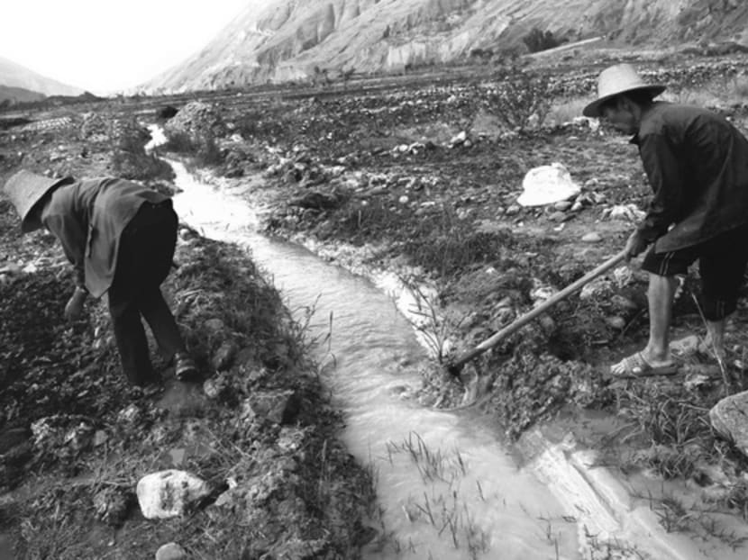 Farmers in China’s Yunnan province digging ditches to lead water from a white polluted stream into farm fields in March 2013. The government estimates that almost 20 per cent of China’s once arable land is now unfit for food production due to soil contamination. Photo: Reuters