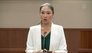 Carrie Tan on public housing motions