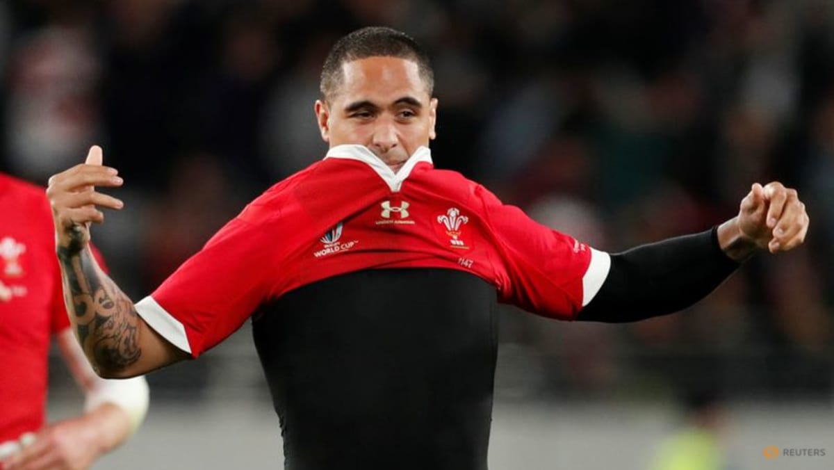 ‘Tidak realistis’ bahwa Smith akan bermain sebagai pelatih Irlandia: All Blacks