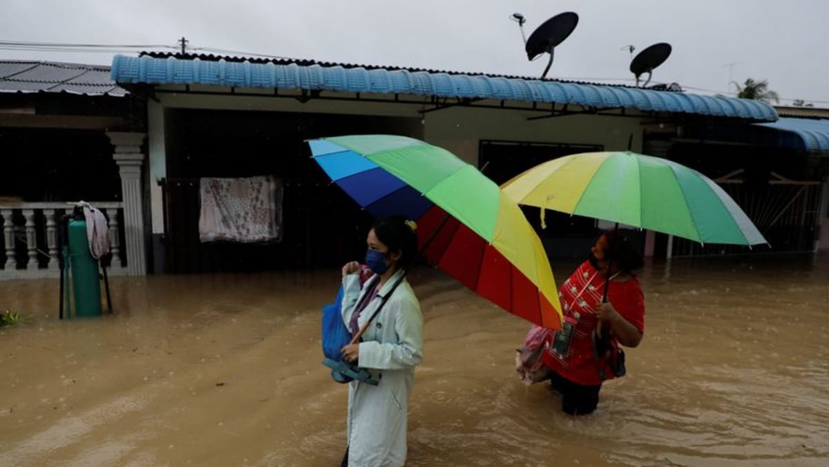 马来西亚政府加快防洪项目：安华