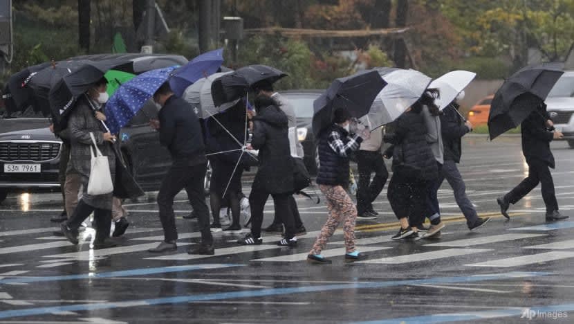 Amaran taufan dikeluarkan di Korea Selatan; perniagaan digesa henti operasi 