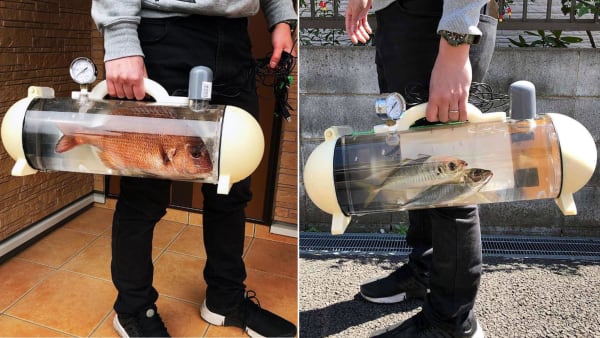 Want To Take Your Pet Fish For a Walk? Now There's a Bag For That!