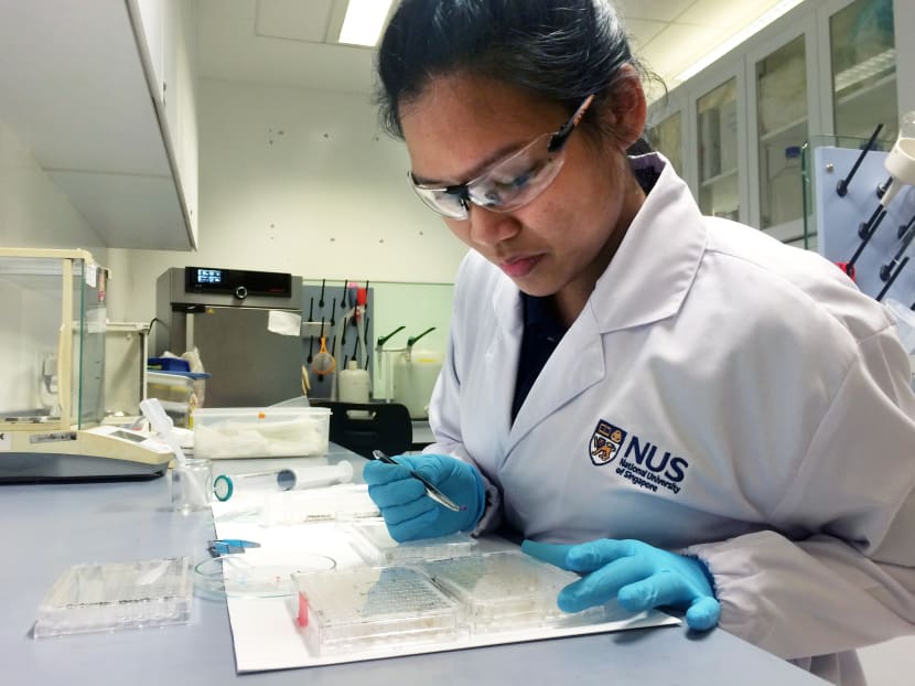 Ms Emily Curren is doing her PhD on the diversity and distribution of tropical marine cyanobacteria. Ms Emily Curren is doing her PhD on the diversity and distribution of tropical marine cyanobacteria.