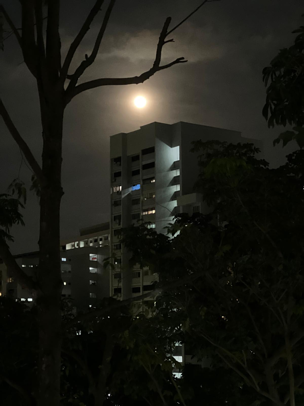 First supermoon of the year rises over Singapore CNA