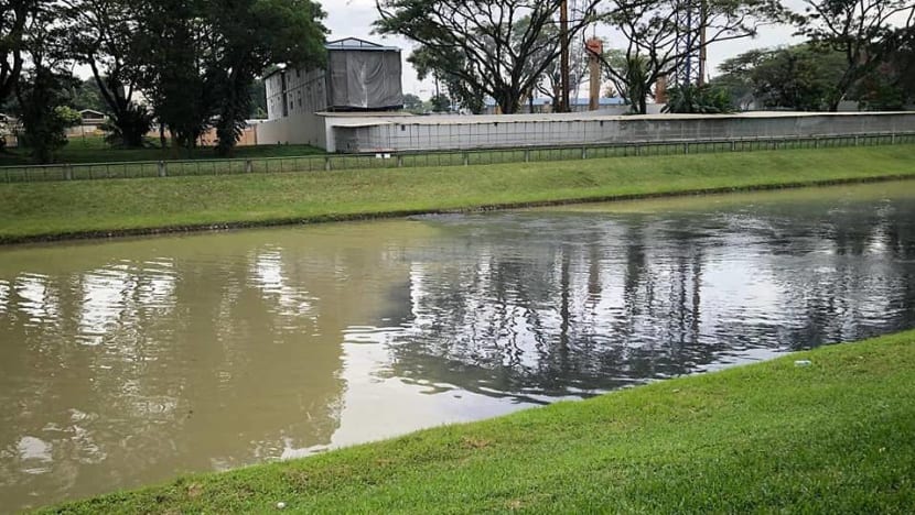 PUB, NEA investigating black discharge in Potong Pasir canal PUB, NEA investigating black discharge in Potong Pasir canal