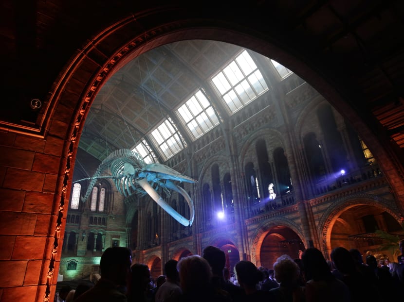 Guests mingle beneath a blue whale skeleton on display as part of the reopening of Hintze Hall at the Natural History Museum in London on July 13, 2017. Photo: AFP