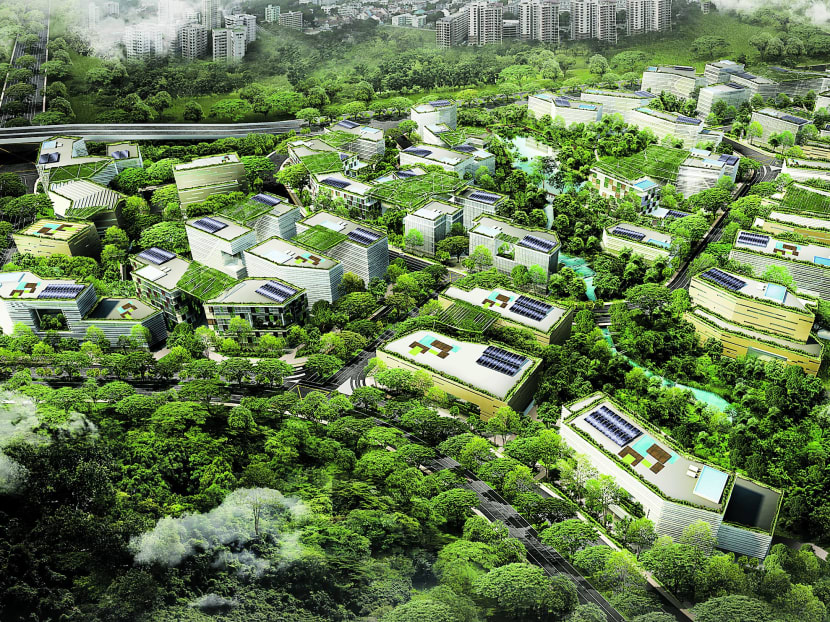 Gallery: Developing Singapore’s 
      cleantech sector