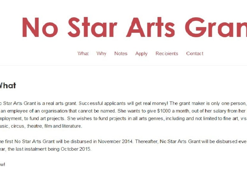 Artist sets up an arts grant for other artists