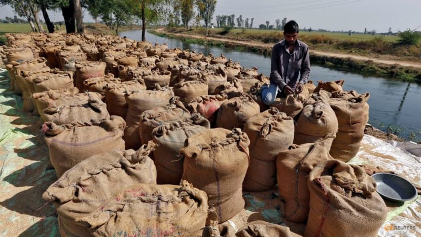 India's rice export curbs paralyse trade in Asia as prices rise India's rice export curbs paralyse trade in Asia as prices rise