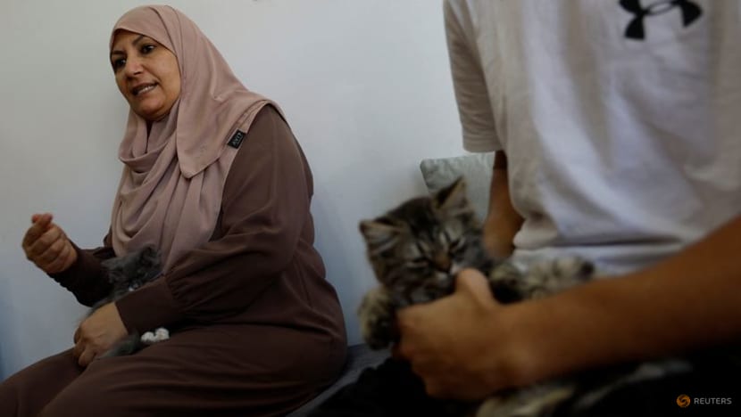 Palestinian woman opens Gaza's first cat cafe - CNA