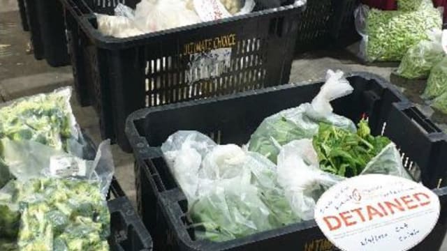 非法进口并销售蔬果和加工食品 食品进口公司被罚款1万元