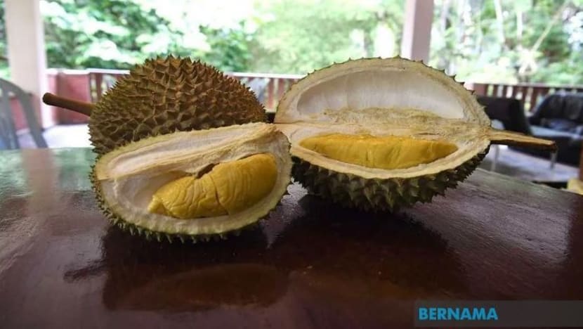 Pengeluaran durian Malaysia dijangka naik 15% cecah 443,000 tan metrik jelang 2030
