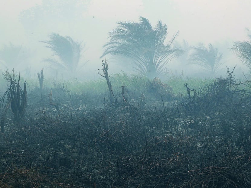 A peatland that has been burnt continues to smoulder, emitting smoke that cause haze n Riau province, Indonesia on 21 June 2013. Photo by OOI BOON KEONG.