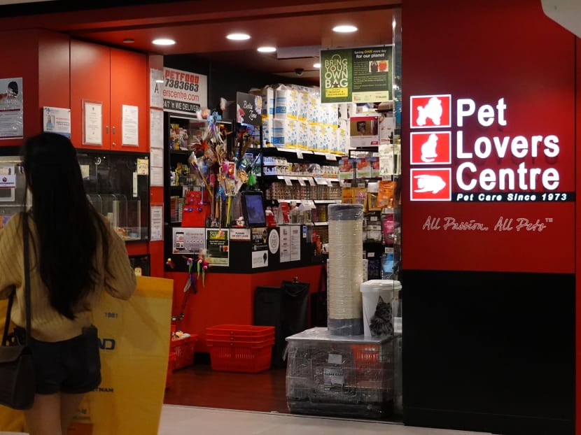 Northpoint sale pet lover