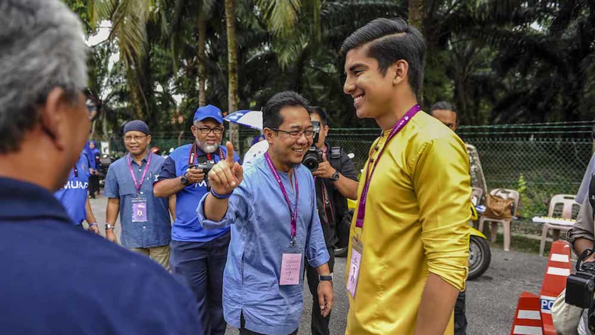 Muar voters unsure what to make of political 'kitten' Syed Saddiq 