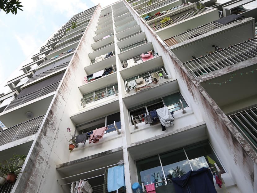 20230106_raj_anchorvale_mould2.jpg?itok=