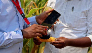 Space data fuels India's farming innovation drive