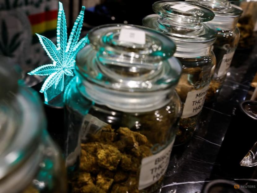 APEC host Thailand's budding marijuana industry faces backlash APEC host Thailand's budding marijuana industry faces backlash