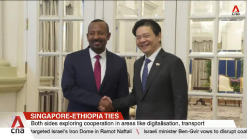 Singapore and Ethiopia can serve as gateways to enhance links between SEA and Africa: PM Wong