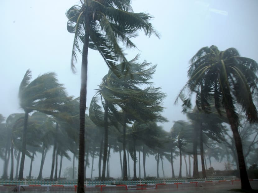 Typhoon roars into south China, killing 9