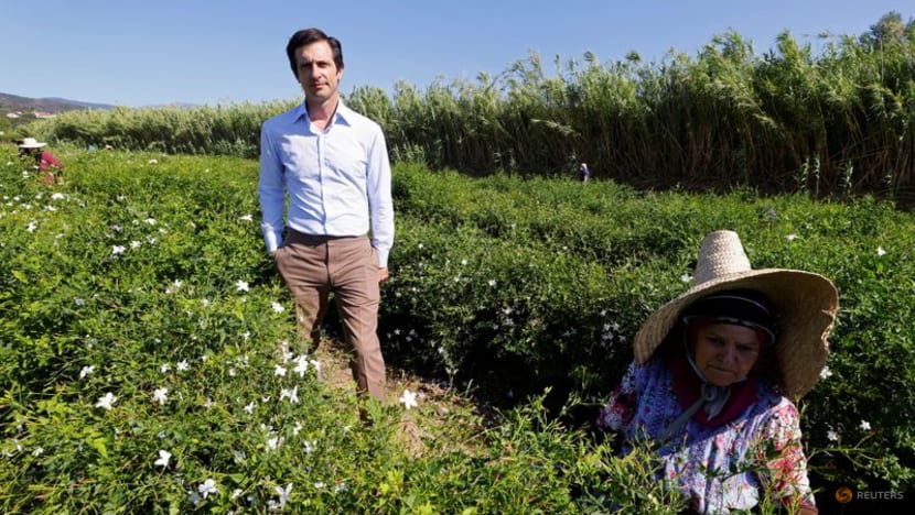 Chanel buys up more jasmine fields to safeguard famous No. 5 Chanel buys up more jasmine fields to safeguard famous No. 5